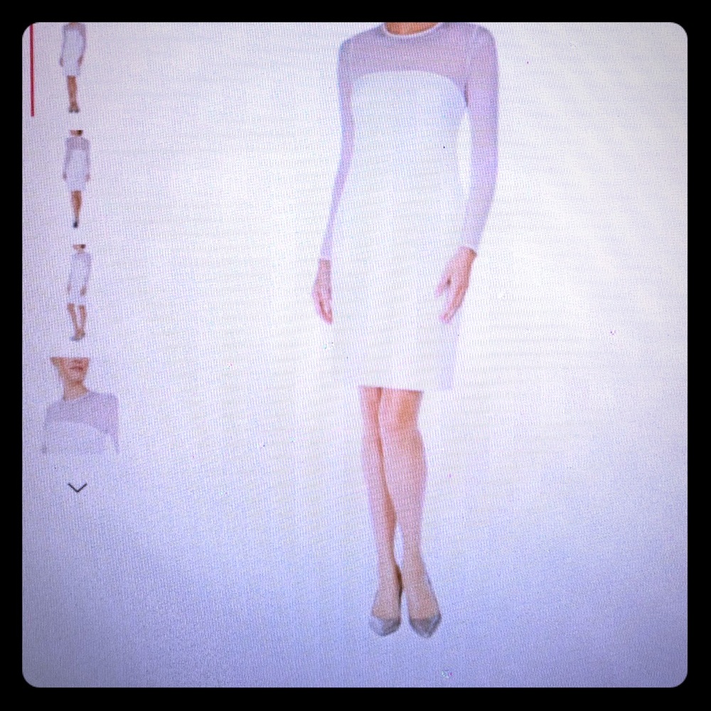 Calvin Klein size 8P dress